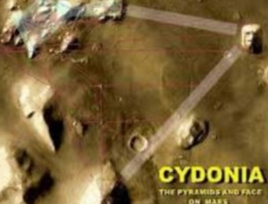 Cyndonia